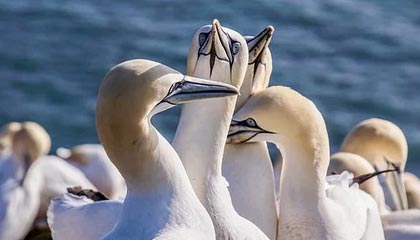 kaiyun官方网站-职业联赛多支队伍经营难以为继，职业联赛的意义