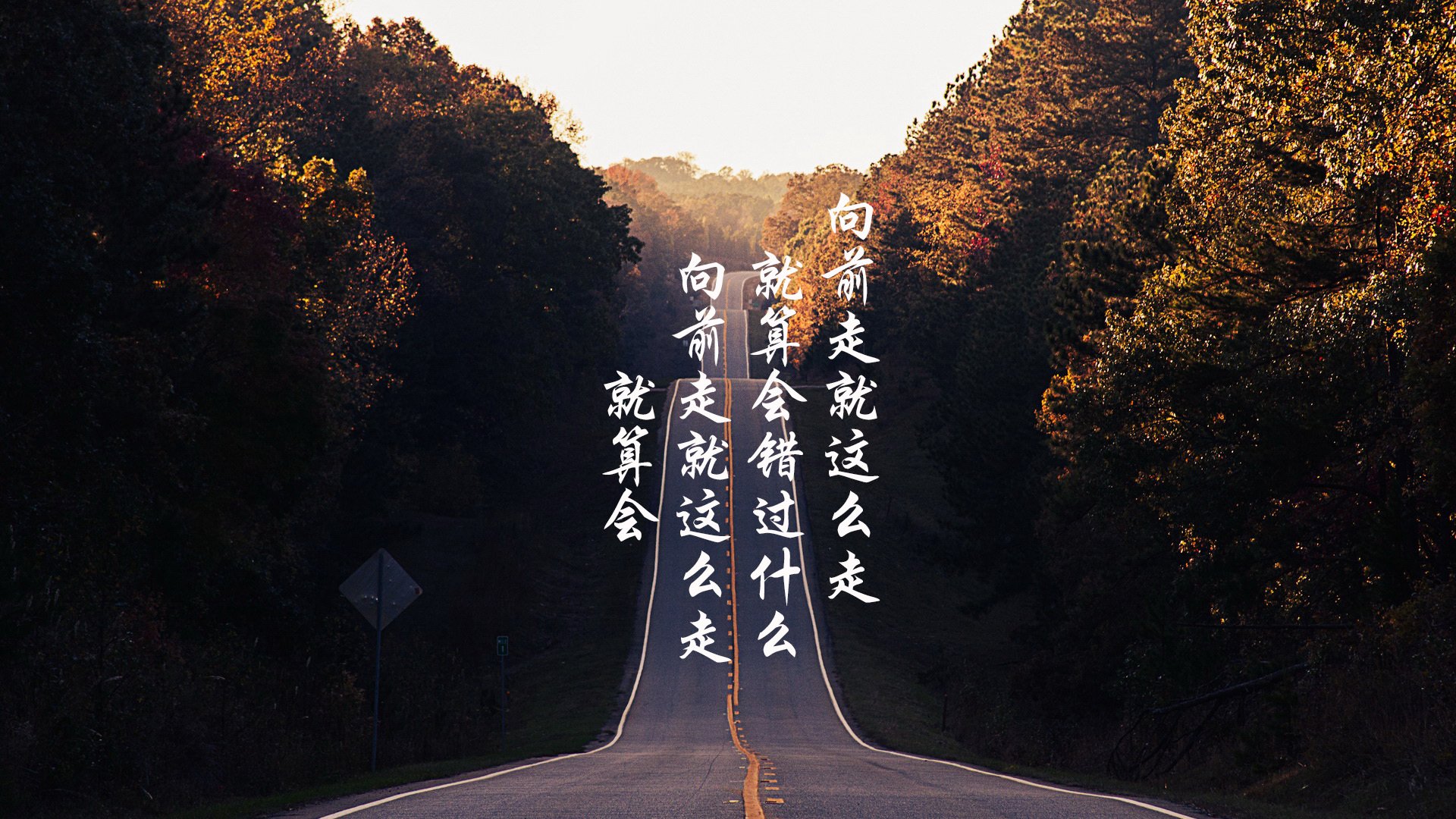 全国高校篮球排行榜权威发布，激励青年学子运动热情，全国高校篮球排名