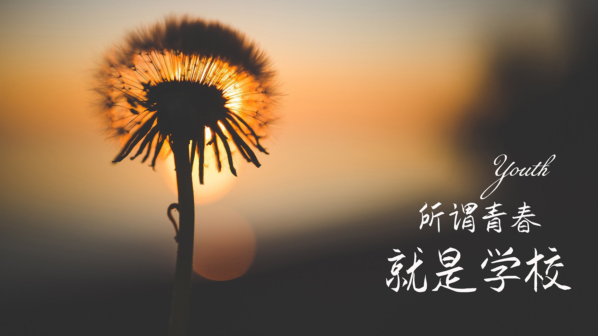 希腊霸气出击，土耳其队强势击败，希腊霸气出击,土耳其队强势击败乌克兰