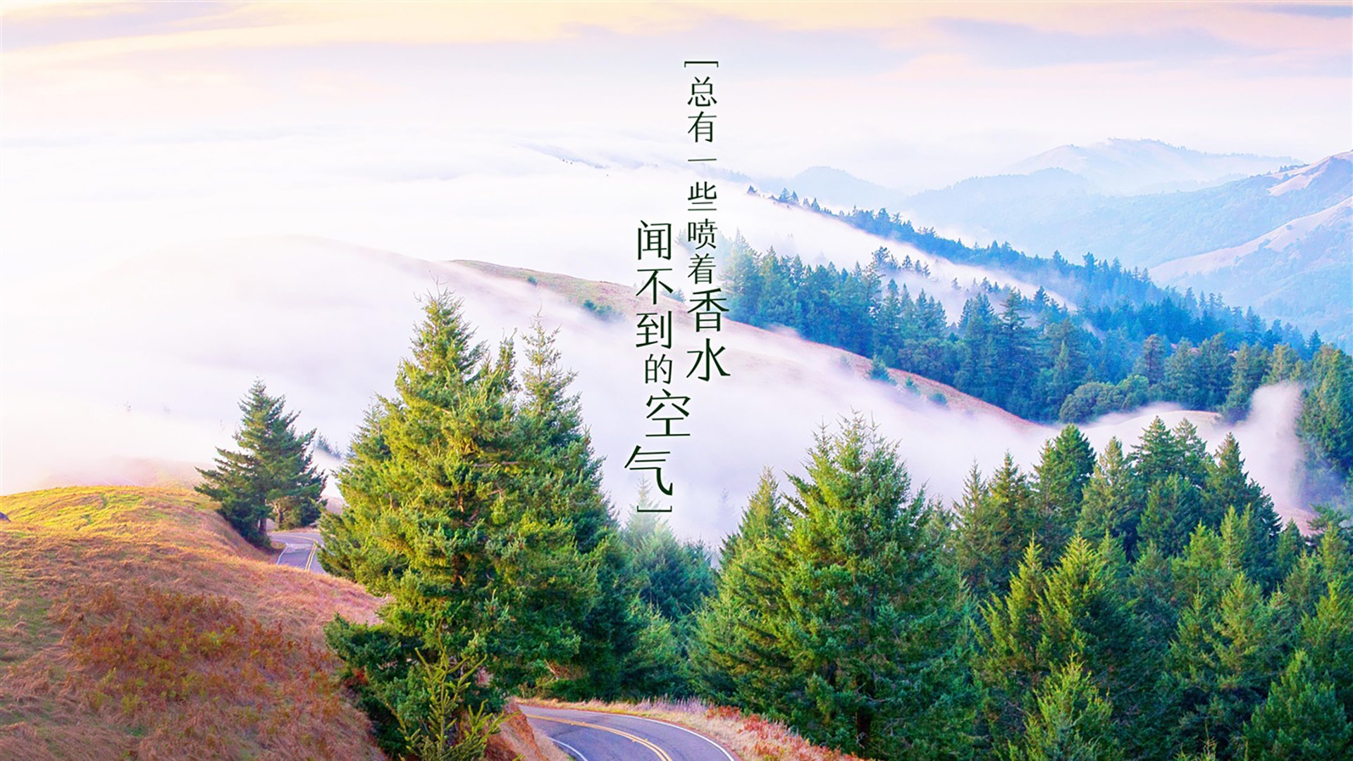 西班牙人击败赫塔菲，结束连败势头，西班牙人对赫塔菲