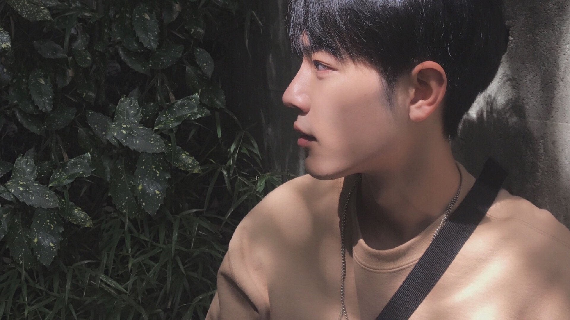 未来型足球场:环保、智能与观众体验的结合,足球 未来