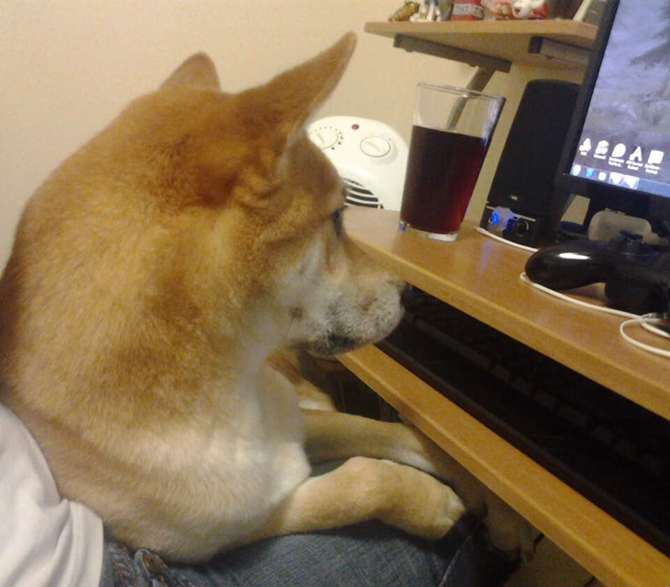 篮球专项技能动作标准化训练体系构建,篮球专项技能展示