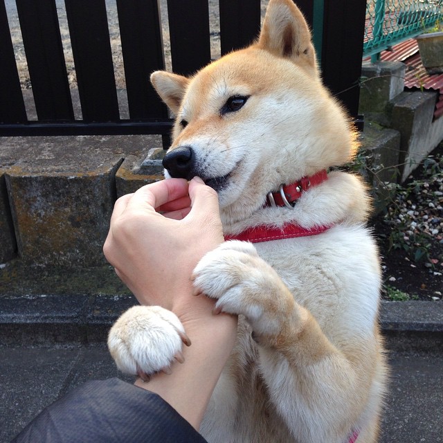 篮球运动员比赛数据智能采集及分析系统，篮球比赛技术数据统计表