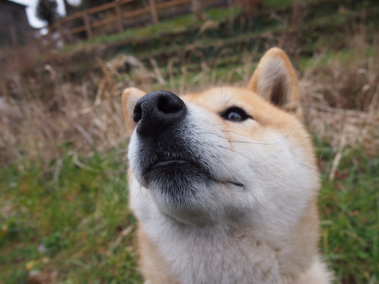 西甲球队防守协作机制对抢断成功率的促进作用，西甲球星保护政策