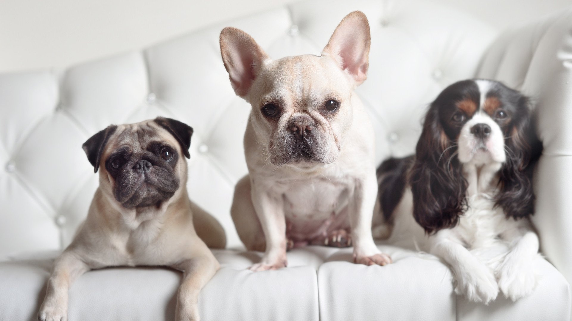 “极限挑战!2025世界运动会天府新区燃爆赛场”