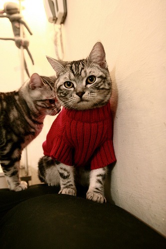 东亚杯中国足球战平 球迷希望加强磨合，东亚杯国足大名单