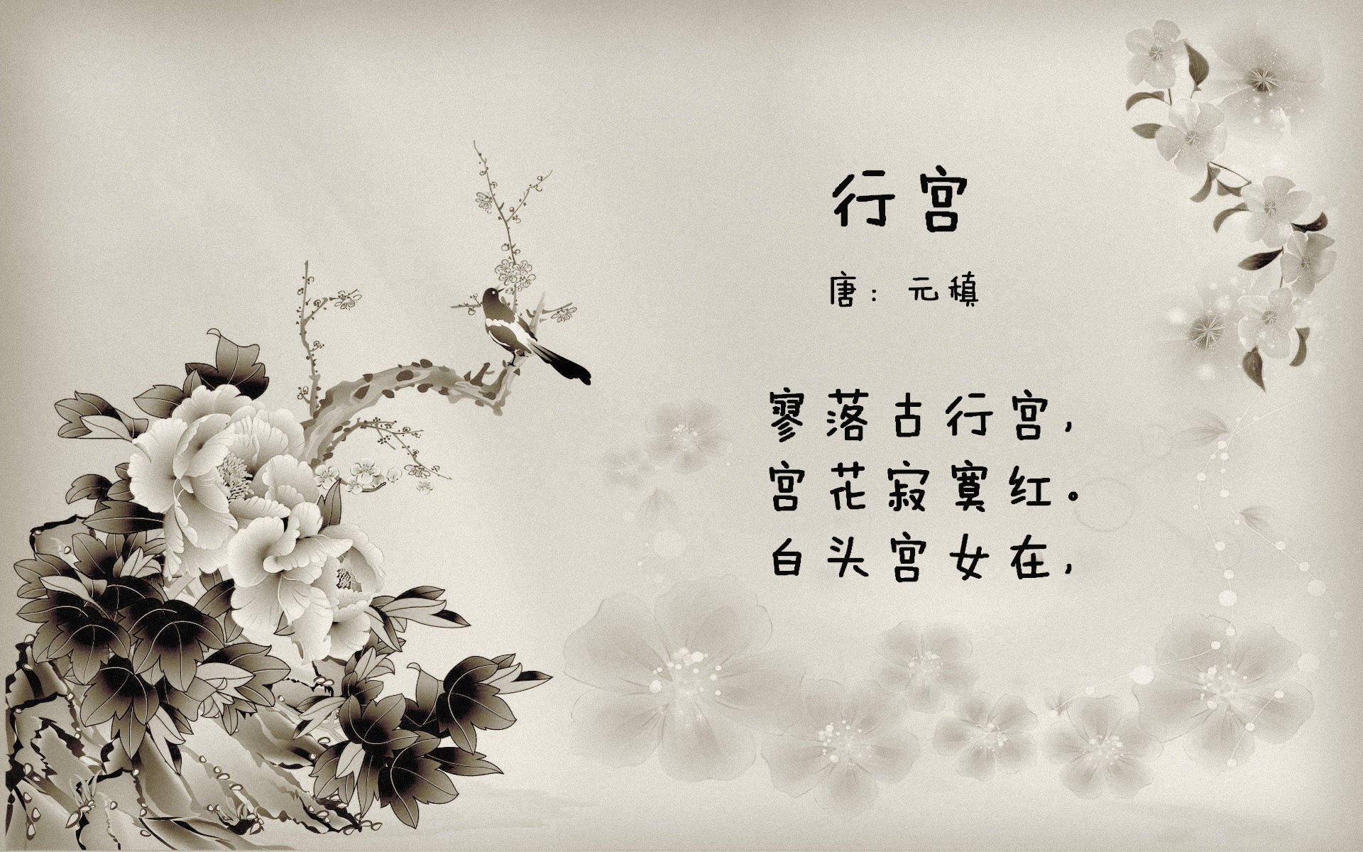 kaiyun开云·官方网站-中国女篮核心球员表现抢眼 引领球队节奏，中国女篮人物介绍