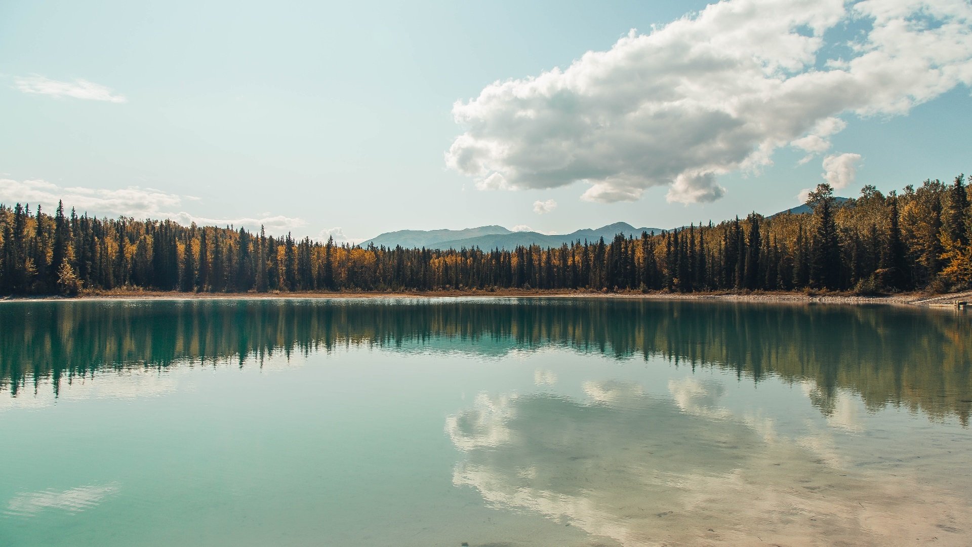 中国香港队在团体赛制中的表现：战术布局与队员配合解析，香港队再添一枚金牌