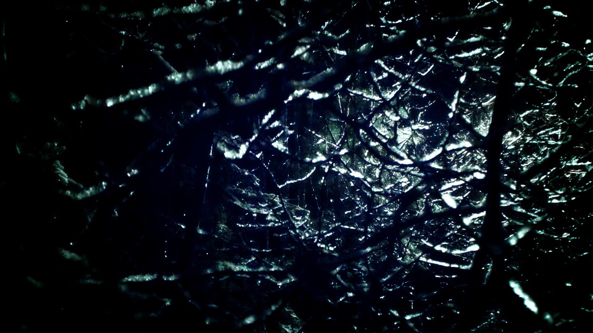 开云网页版-北京鸭通过视频学习提升战术执行效率，北京鸭子贴吧