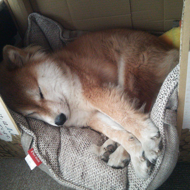 开云·体育官网APP下载-女子自由泳平均划频数据公开，女子自由泳排名