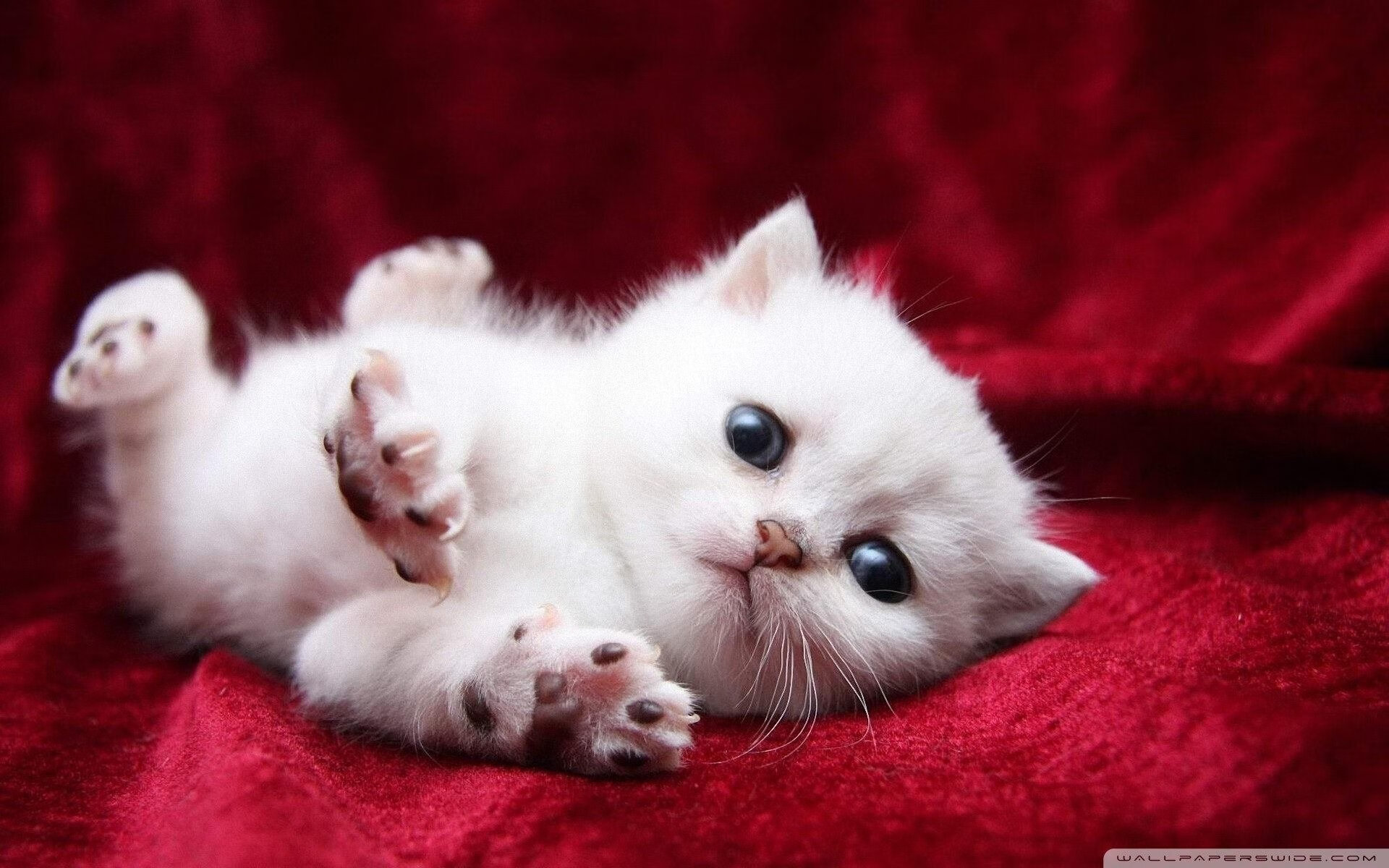 年轻一代球员心态成熟逐步承担关键责任，优秀年轻球员