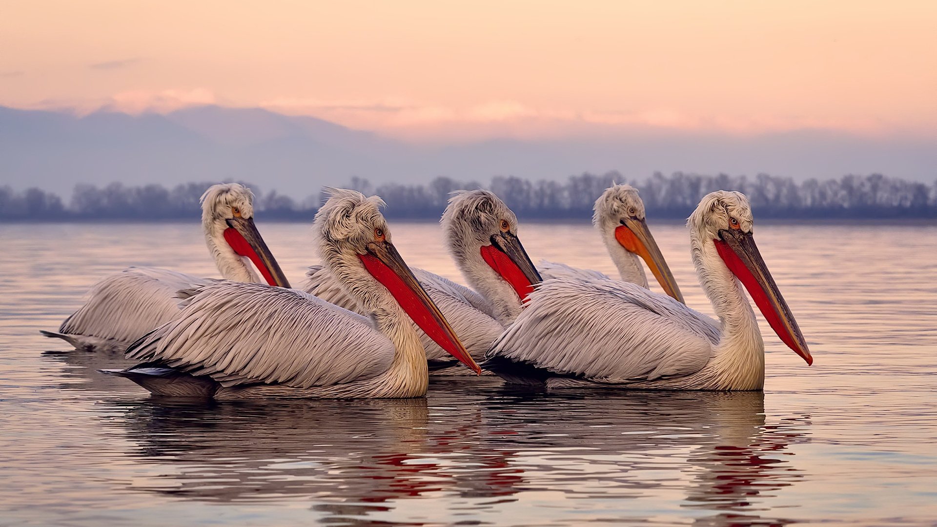 技术动作数据优化与选手表现提升,技术动作是什么