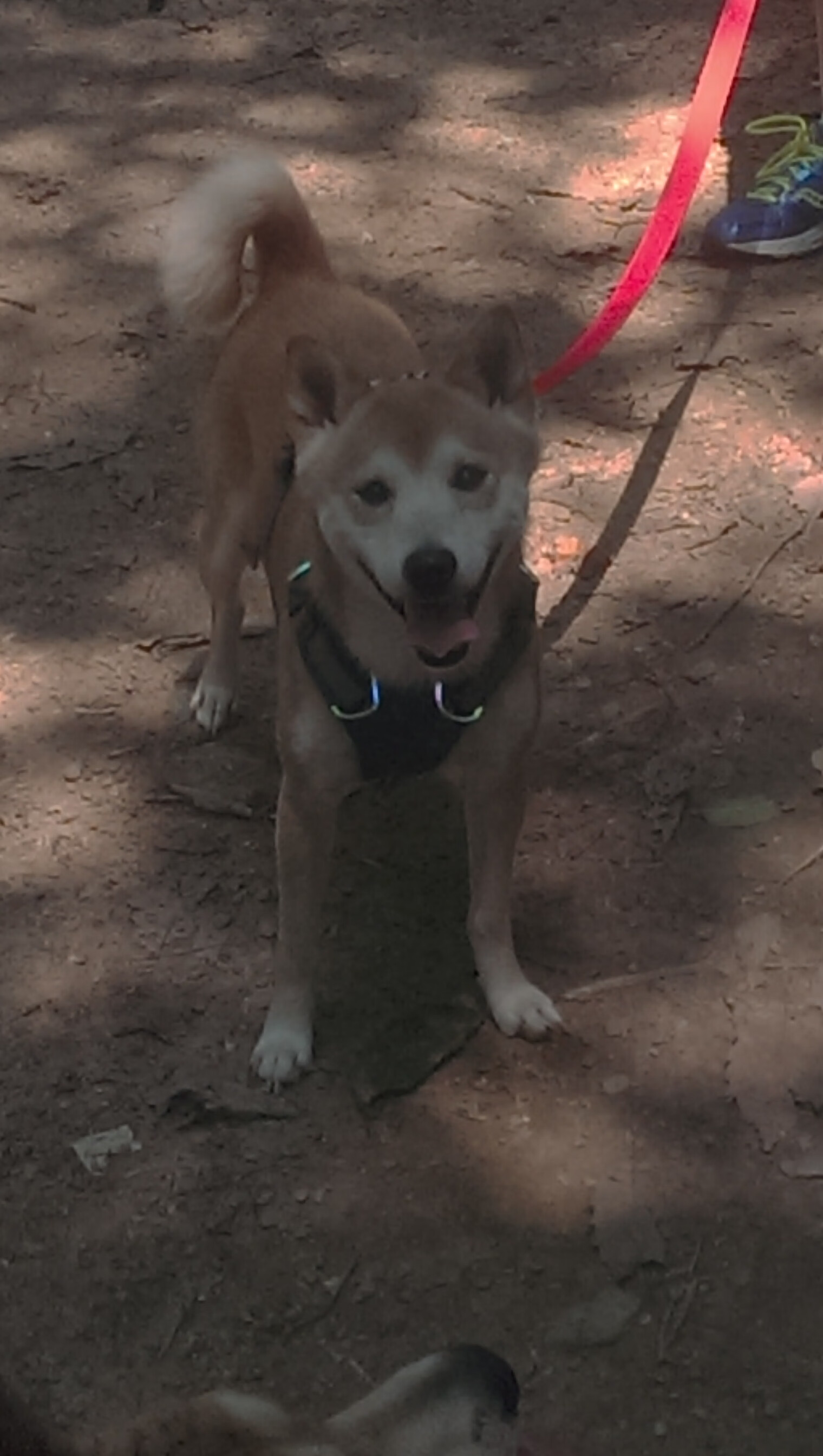 王楚钦直播分享比赛心路历程，王楚钦19_0