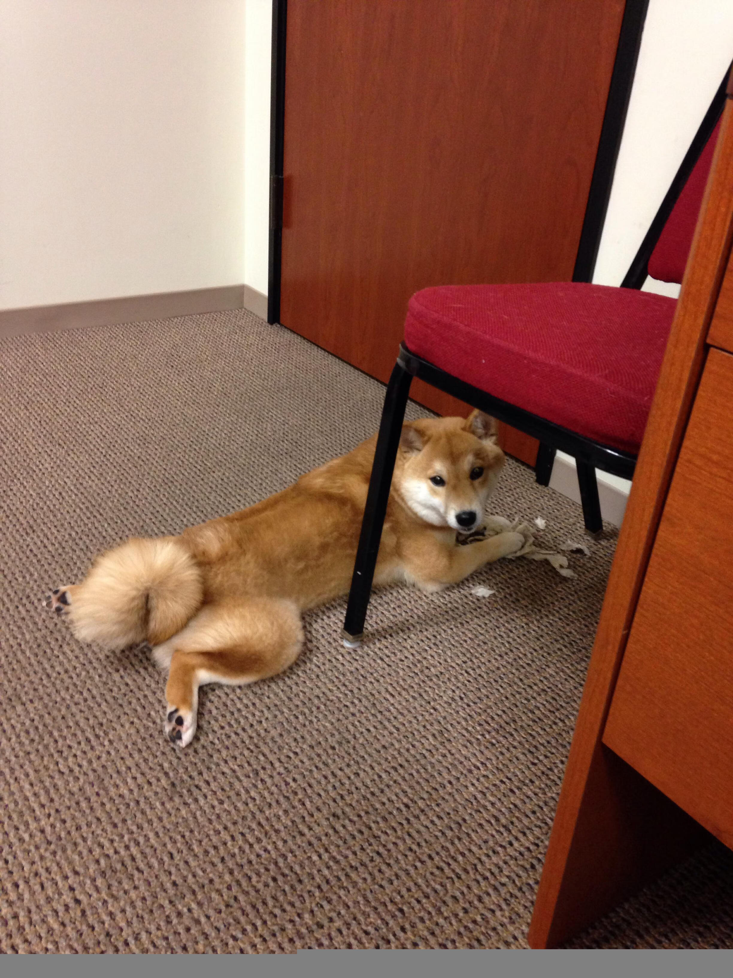 球迷城市间友好赛推广活动，跨国交流更紧密